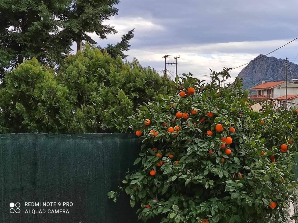 Nafplio Breeze Άνετη Διώροφη Κατοικία Από 4 Έως 9 Επισκέπτες Luaran gambar